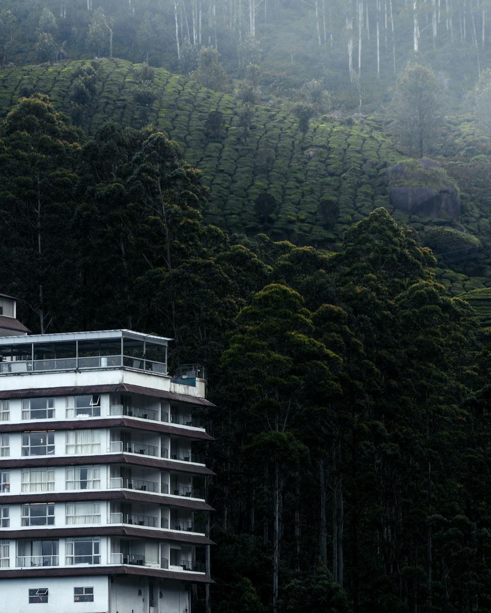 Krythorn Signature Suite